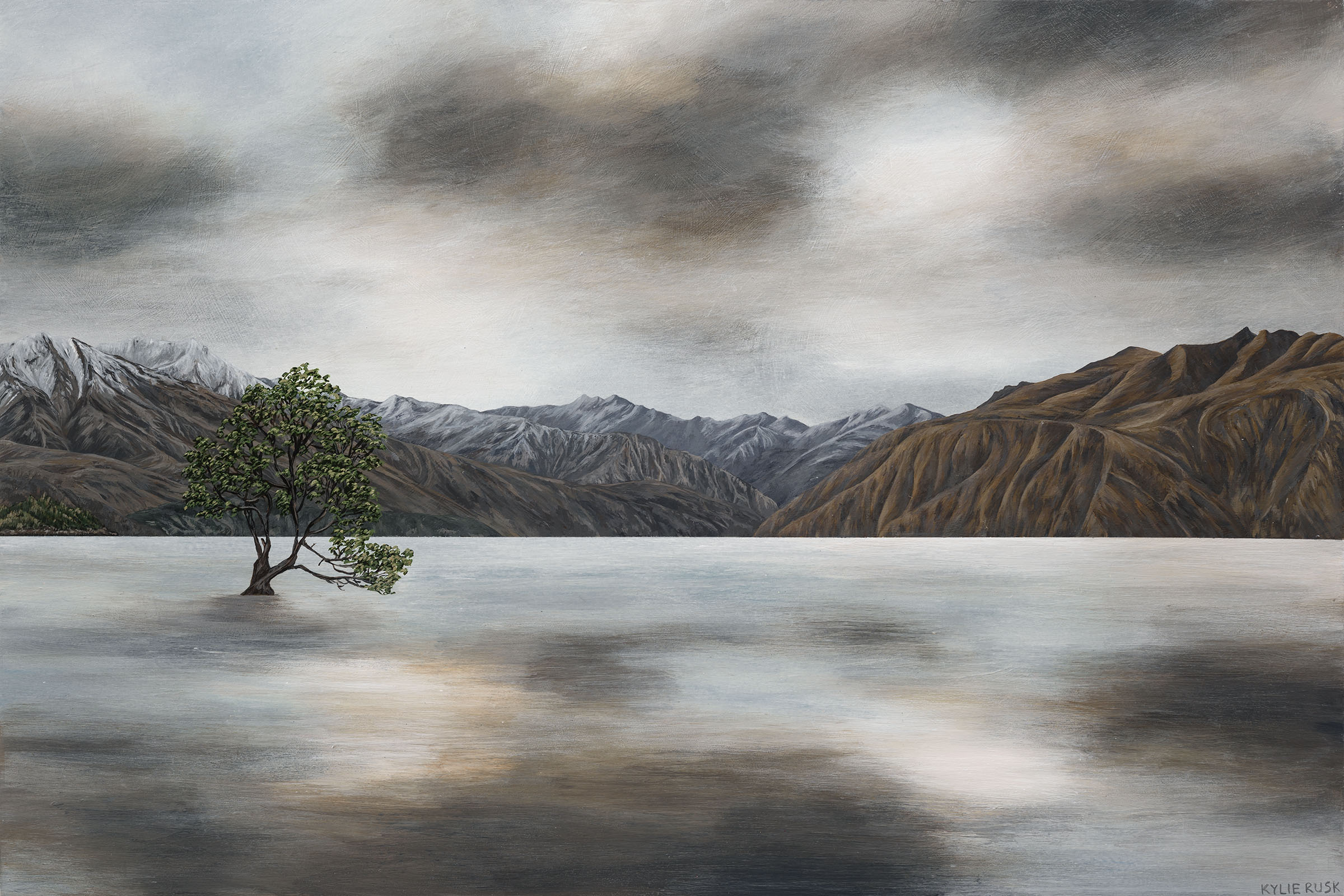 Wanaka Tree wanaka tree